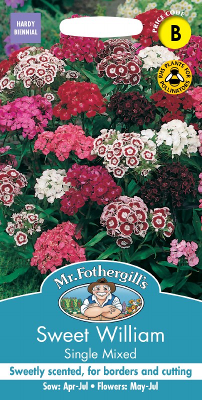 Sweet William Single Mix