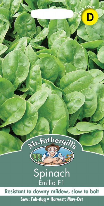 Spinach Emilia F1 - Image 1
