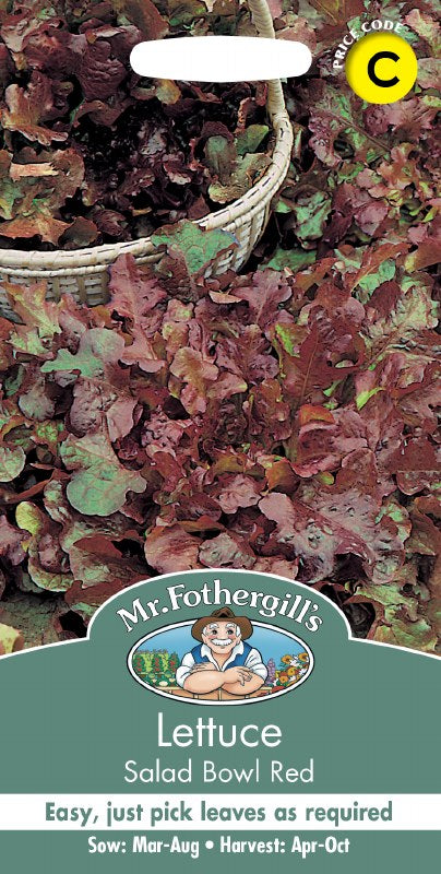 Lettuce Salad Bowl Red