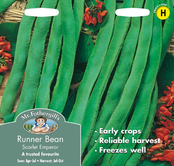 Runner Bean Scarlet Empire