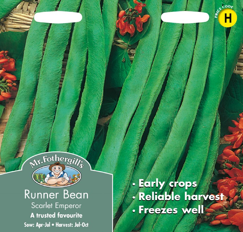 Close-up of long green runner beans with red flowers on seed packet for Runner Bean Scarlet Empire.