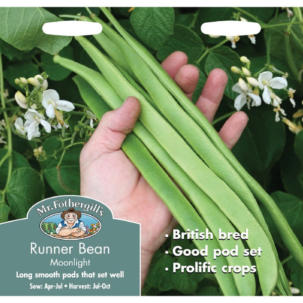Runner Bean Moonlight