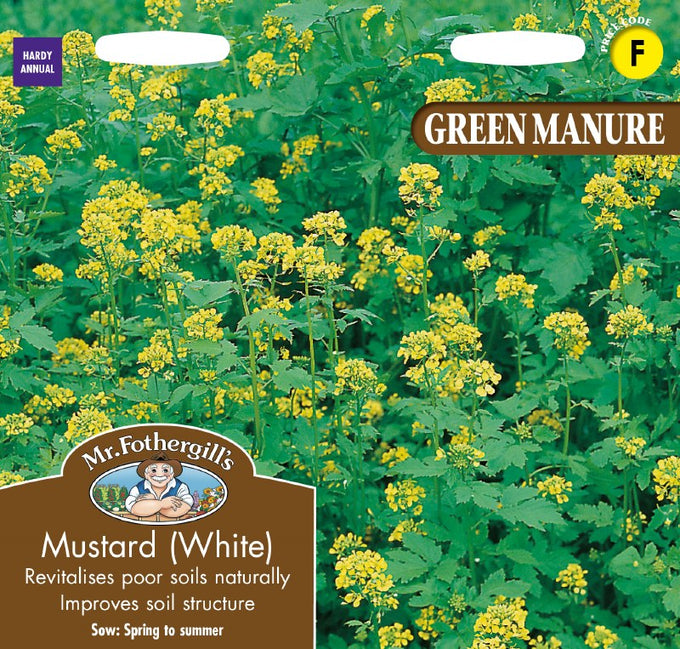 Green Manure Mustard (White) - Image 1