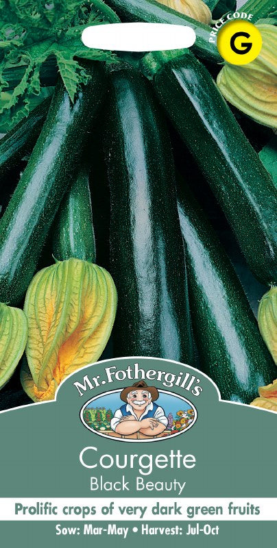 Courgette Black Beauty