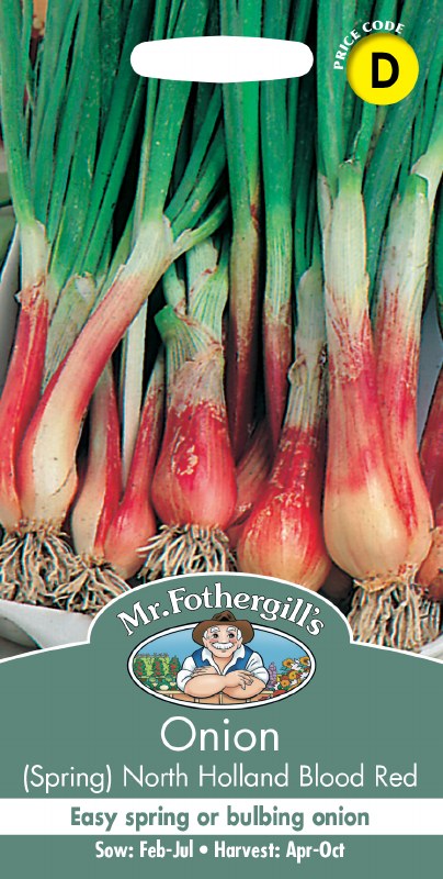 Onion (Spring) North Holland Blood Red - Image 1