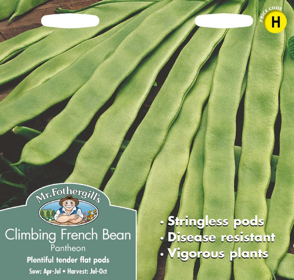 Climbing French Bean Pantheon