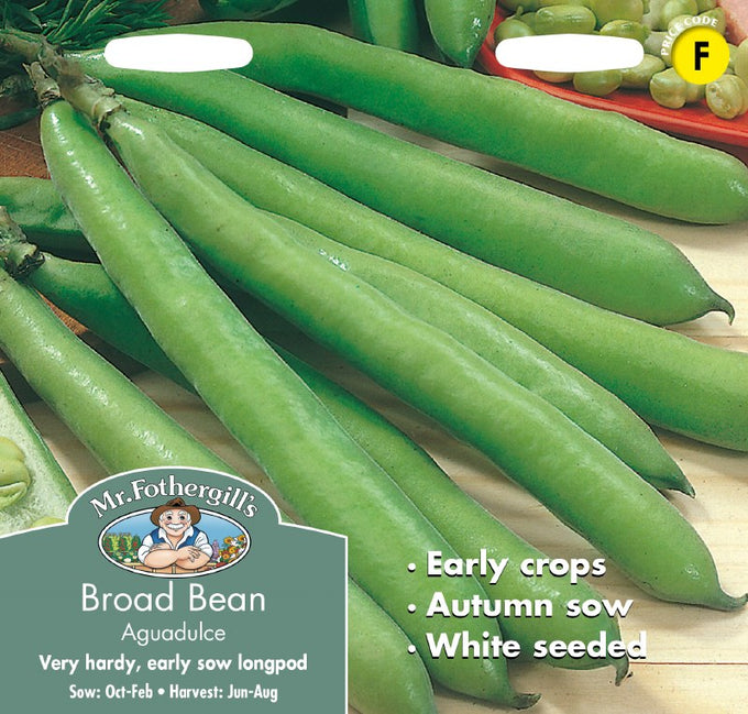 Broad Bean Aguadulce - Image 1