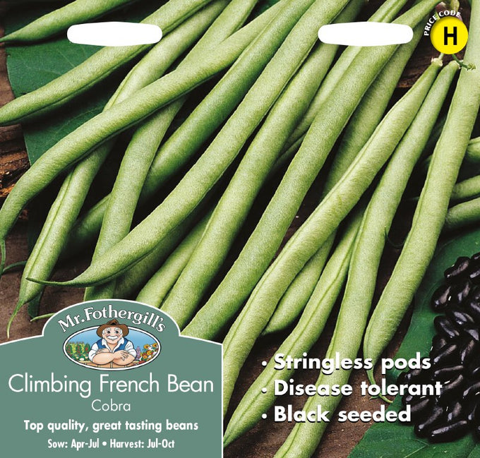 Climbing French Bean Cobra - Image 1