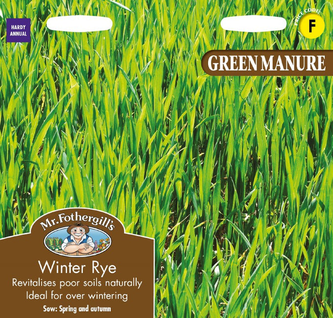 Green Manure Winter Rye - Image 1