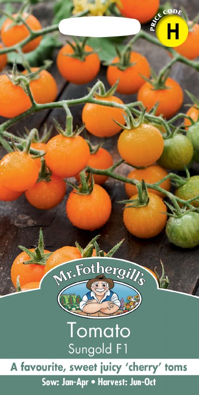 Tomato Sungold F1