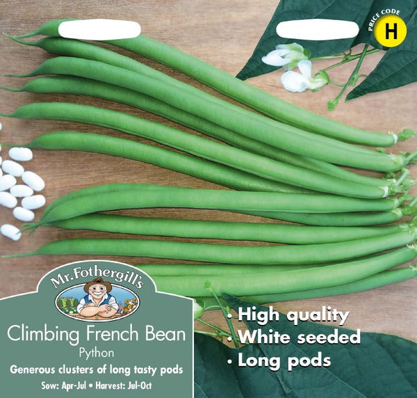 Climbing French Bean Python