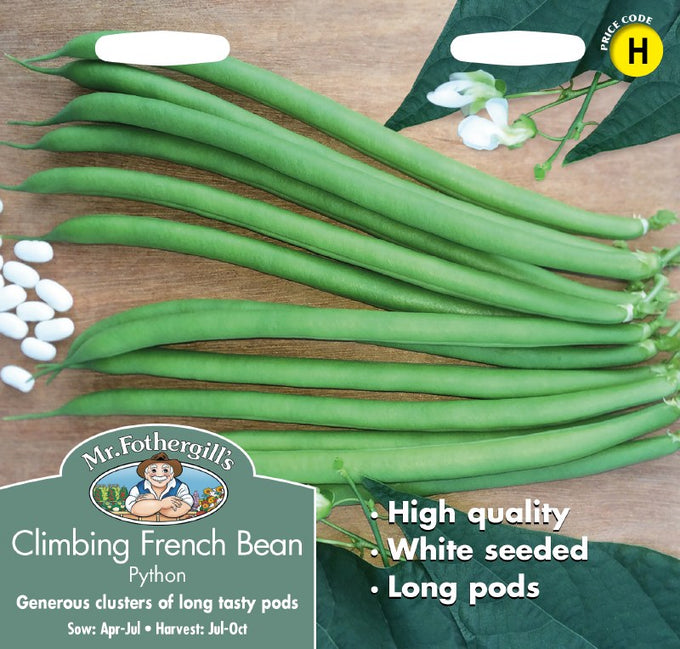 Climbing French Bean Python - Image 1