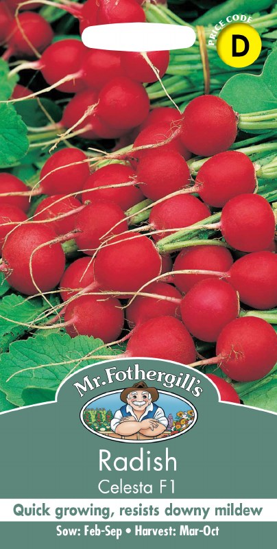 Radish Celesta F1 - Image 1