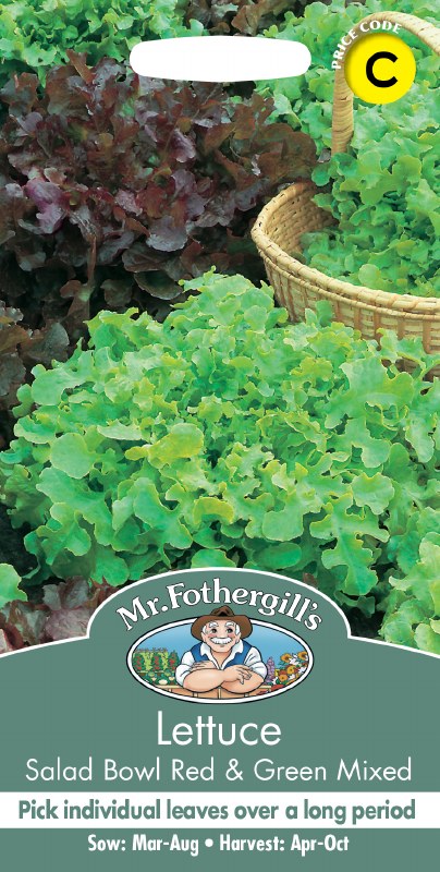 Lettuce Salad Bowl Red & Green Mix - Image 1