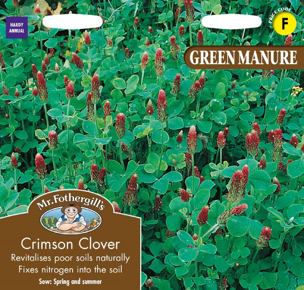 Green Manure Crimson Clover