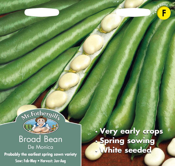Broad Bean De Monica