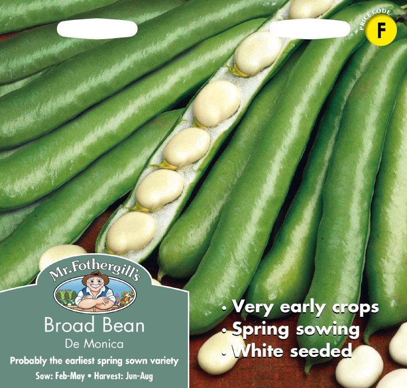 Broad Bean De Monica pods with one open pod showing large white seeds, highlighting early spring sowing variety.