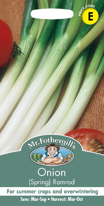 Onion (Spring) Ramrod - Image 1