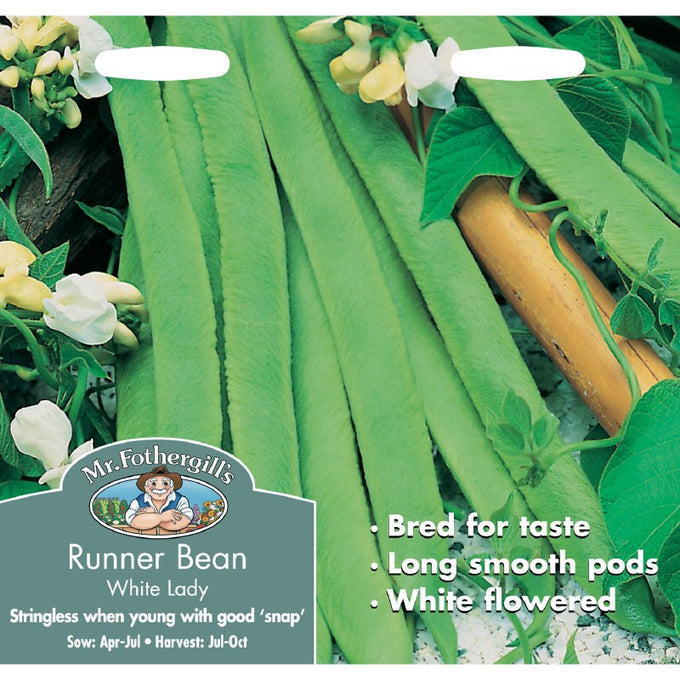 Runner Bean White Lady - Image 1