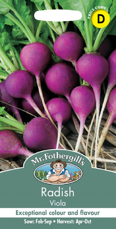 Radish Viola - Image 1