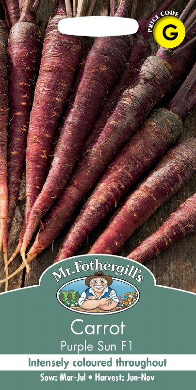 Carrot Purple Sun F1 - Image 1