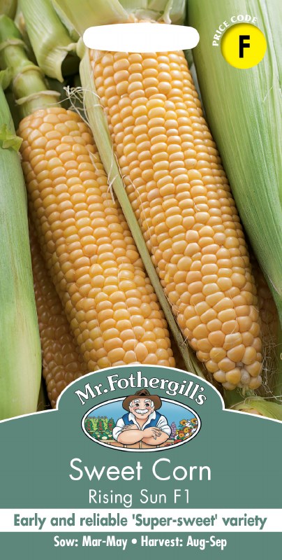 Sweet Corn Rising Sun F1 - Image 1