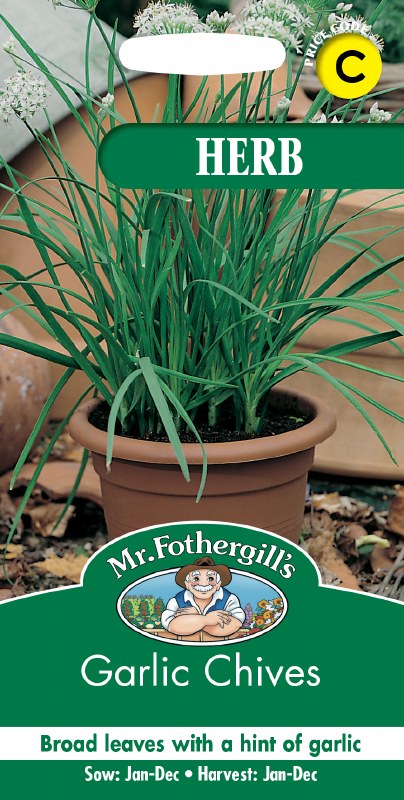 Garlic Chives - Image 1