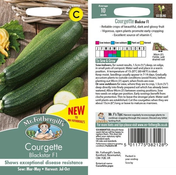Courgette Blackstar F1