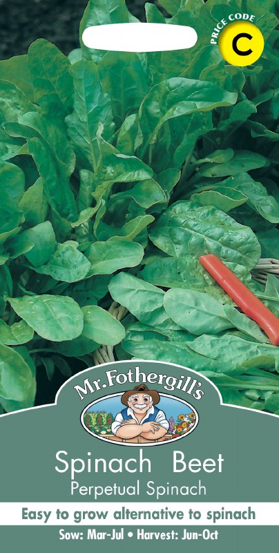 Spinach Beet Perpetual Spinach - Image 1