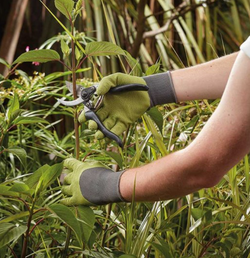 All Seasons Sage Medium Size 8 shoes from Keans Claremorris – stylish, comfortable footwear for all seasons.