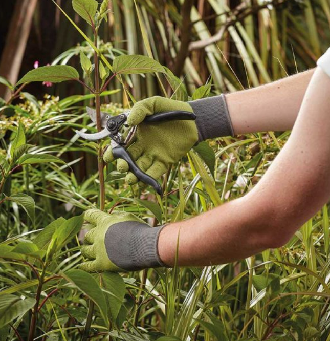 All Seasons Sage Medium Size 8 shoes from Keans Claremorris – stylish, comfortable footwear for all seasons.