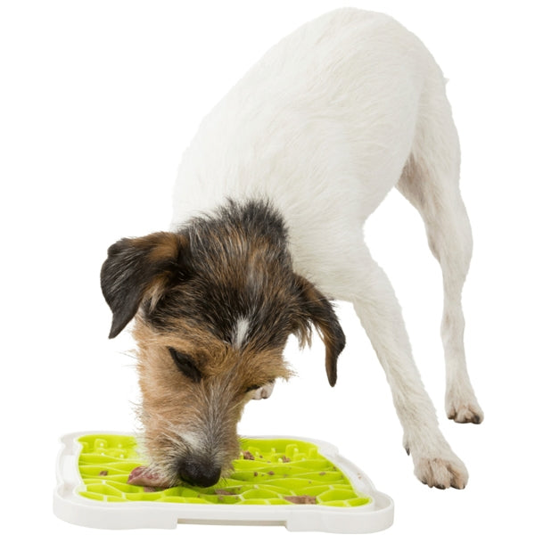 Lick n Snack Plate for cats & dogs by Keans Claremorris, slow feeder with non-slip corners, promotes fresh breath,