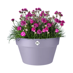 Loft Urban Bowl 35cm in Lavender Lilac - stylish ceramic serving bowl from Keans Claremorris