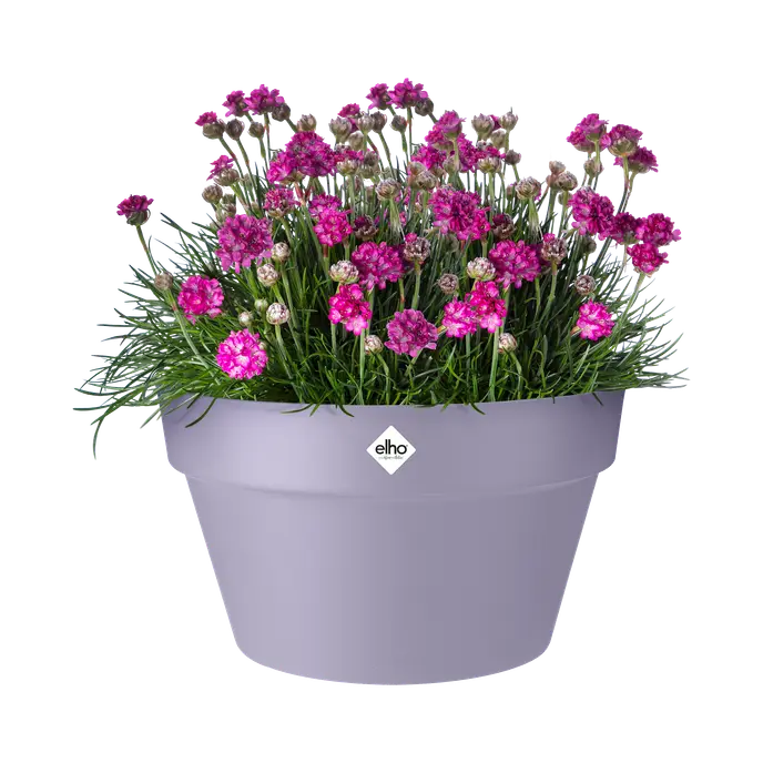 Loft Urban Bowl 35cm in Lavender Lilac - stylish ceramic serving bowl from Keans Claremorris