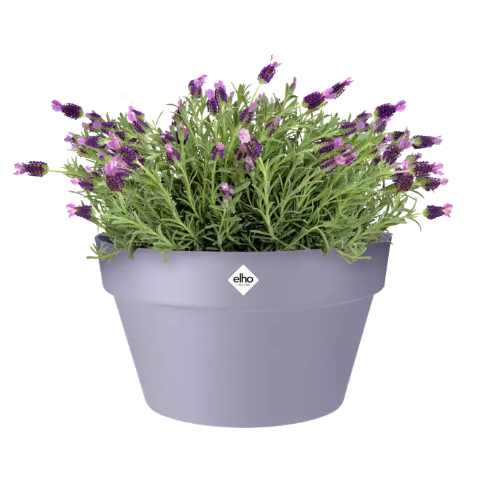 Loft Urban Bowl 35cm in Lavender Lilac - stylish ceramic bowl, perfect for modern decor | Keans Claremorris