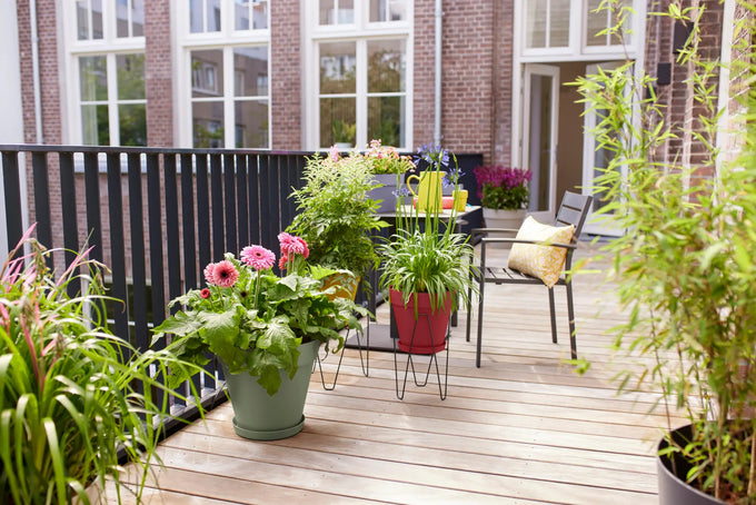 Loft Urban Bowl 35cm in Lavender Lilac - stylish ceramic serving bowl from Keans Claremorris