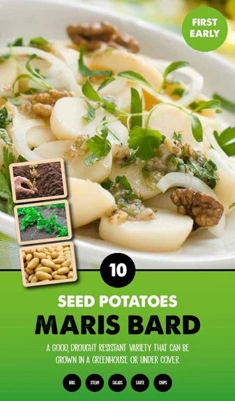 First Earliers Maris Bard  2 Kg Nets - Image 1