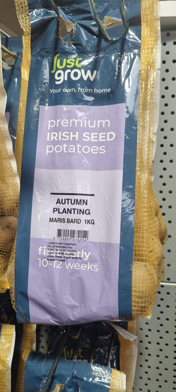 Seed Potato Maris Bard 35-60mm 1kg