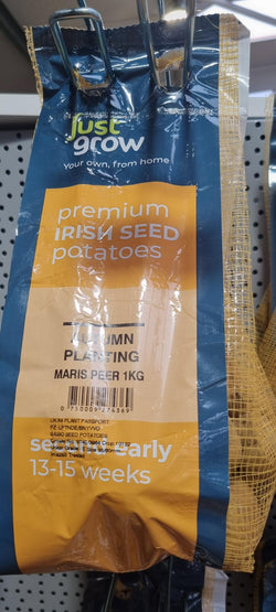Seed Potato Maris Peer (35-60mm) – 1kg