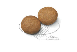 Royal Canin Medium Adult Dog Food 15kg bag available at Keans Claremorris store