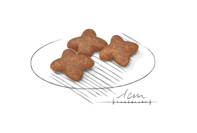 Royal Canin Mini Adult Dog Food 8kg bag - premium nutrition for small breed dogs | Keans Claremorris