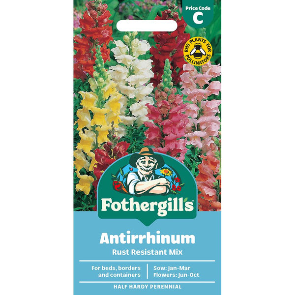 Antirrhinum Rust Resistant Mix