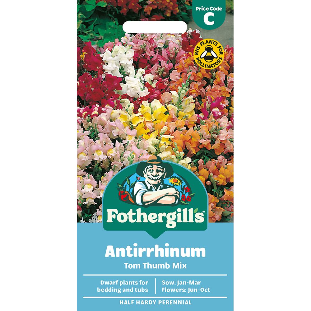 Packet of Fothergill’s Antirrhinum Tom Thumb Mix seeds with colorful snapdragon flowers on front.