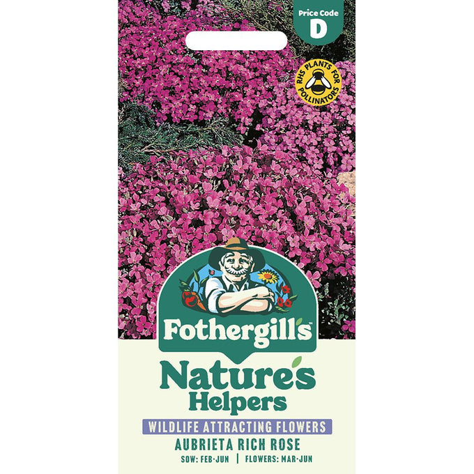 Nh-Aubrieta Rich Rose - Image 1