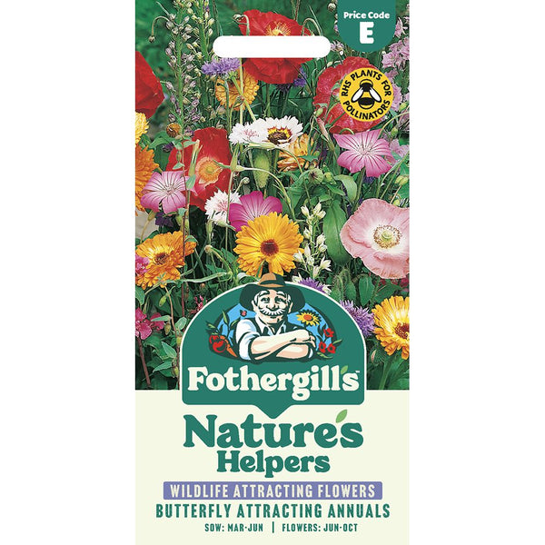 Butterfly Attracting Annuals