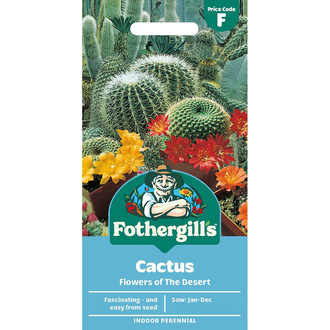 Cactus Flowers Of The Desert - Image 1