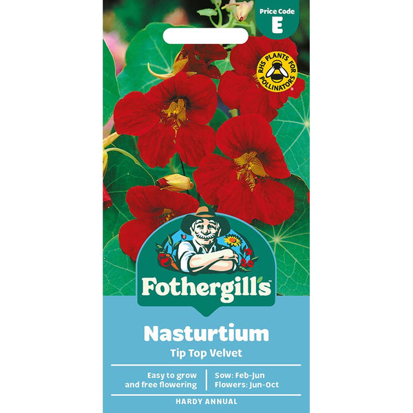 Nasturtium Tip Top Velvet