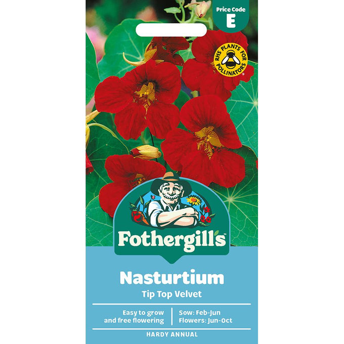 Nasturtium Tip Top Velvet - Image 1