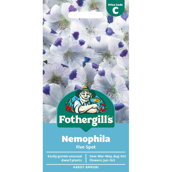 Nemophila Five Spot