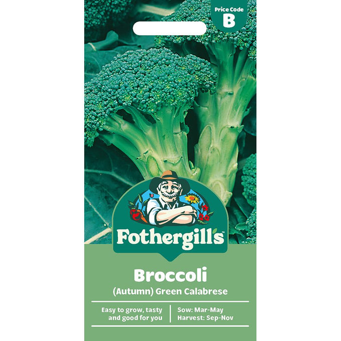 Broccoli (Autumn) Green Calabrese - Image 1